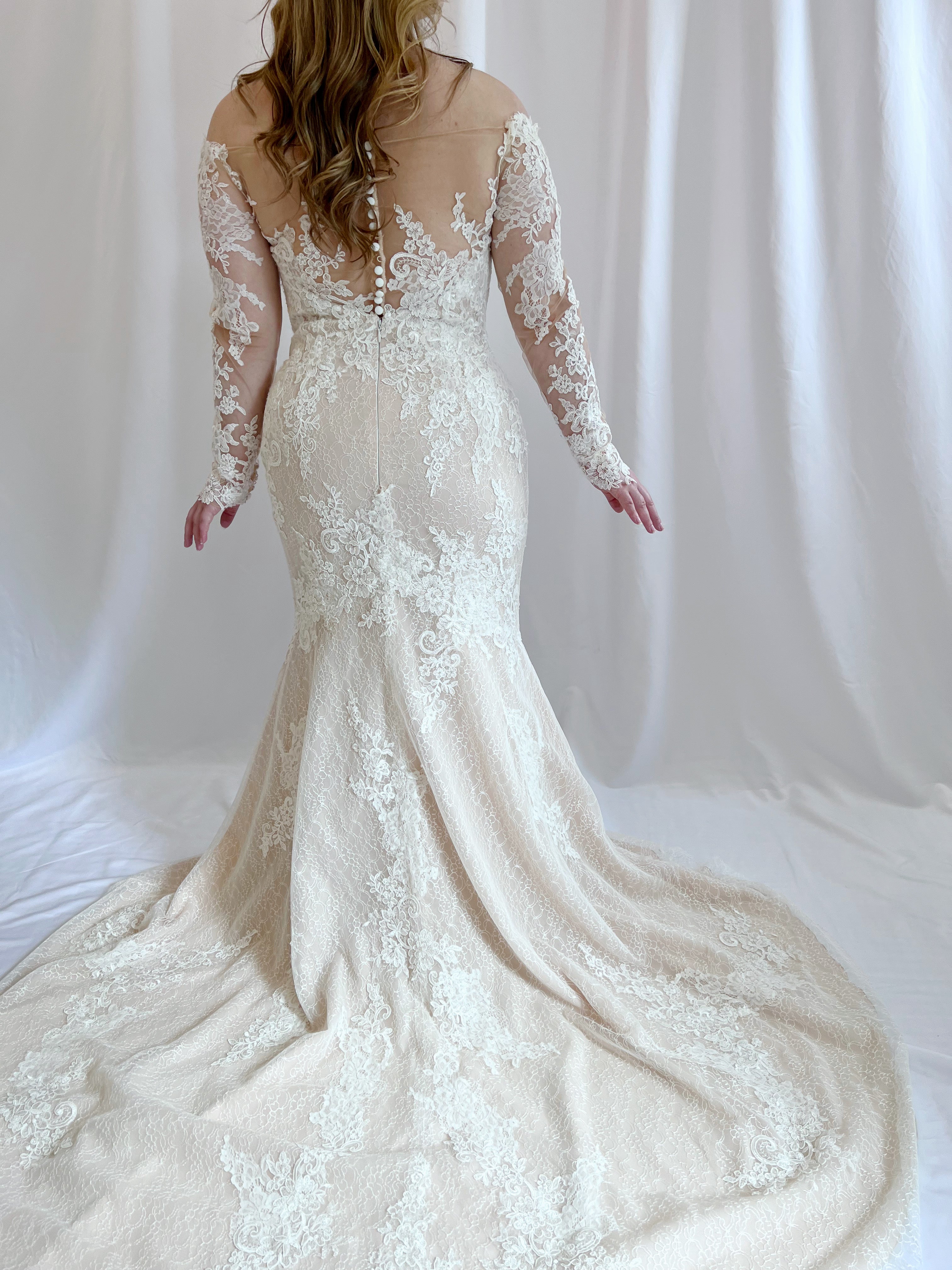 Lily Wedding Dress by White One at Sash Bustle Bridal Boutique